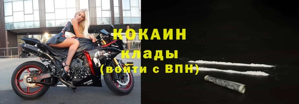 шишки Балабаново