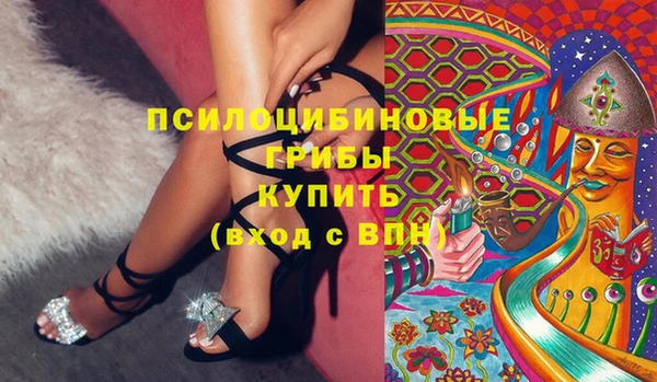 шишки Балабаново