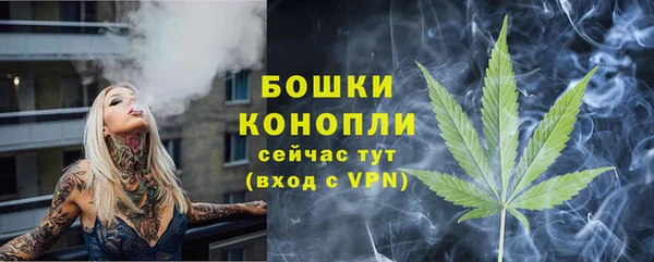 шишки Балабаново