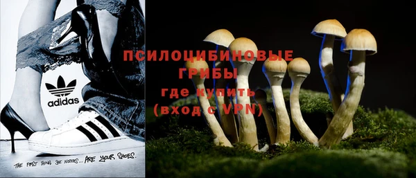 прущие крисы Балахна