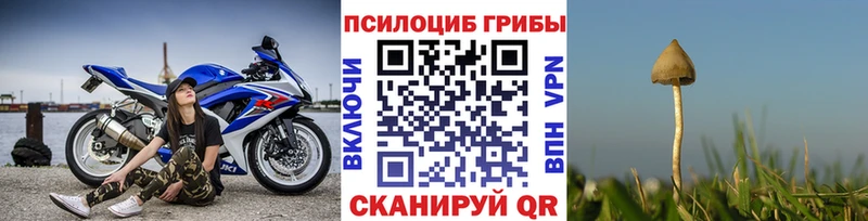Псилоцибиновые грибы мухоморы  Шахты 